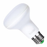 Bulb E27 LED 10W 220V R80 120 °