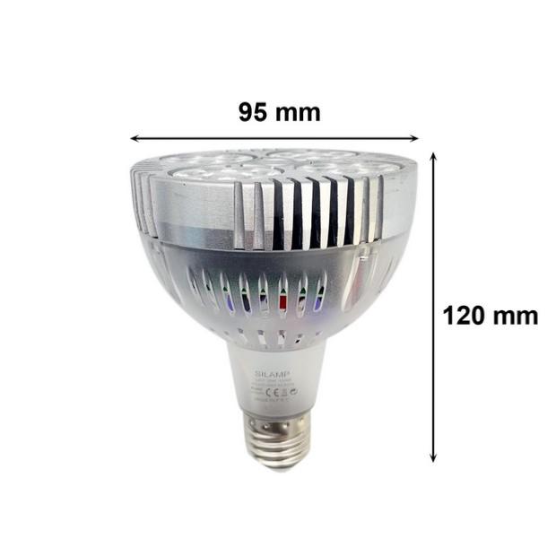 Ampoule E27 LED 35W 220V PAR30 24LED 60° Transparente - Silumen