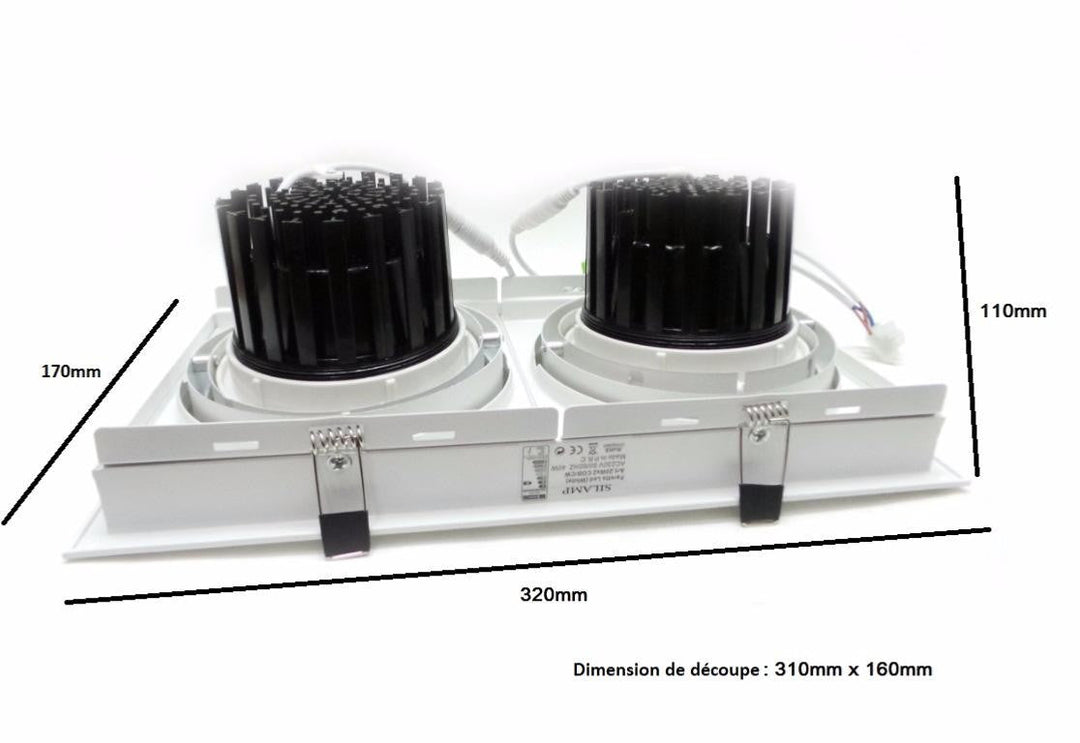 Downlight Spot LED COB Rectangle 2x20W - Silumen