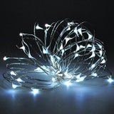 Led Luminous Garland 5V 10m USB 100LED