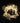 Guirlande Rideau extérieur solaire 2M 200L - BLANC CHAUD - Silumen