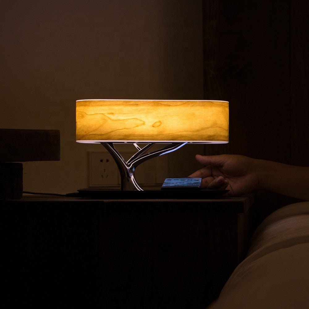 Lampe LED 12V 24V avec interrupteur tactile dimmable
