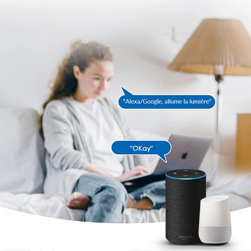 Module Double Interrupteur Wifi Blanc - Silumen