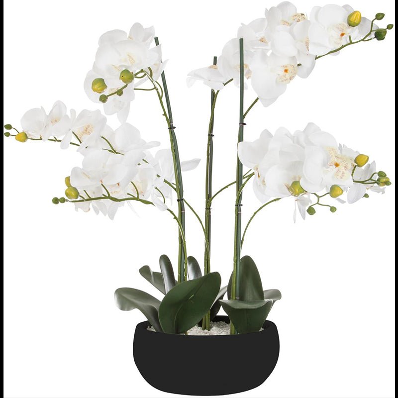 Orchidée Artificielle 65cm avec Pot en Céramique - Couleur Uni - Silumen