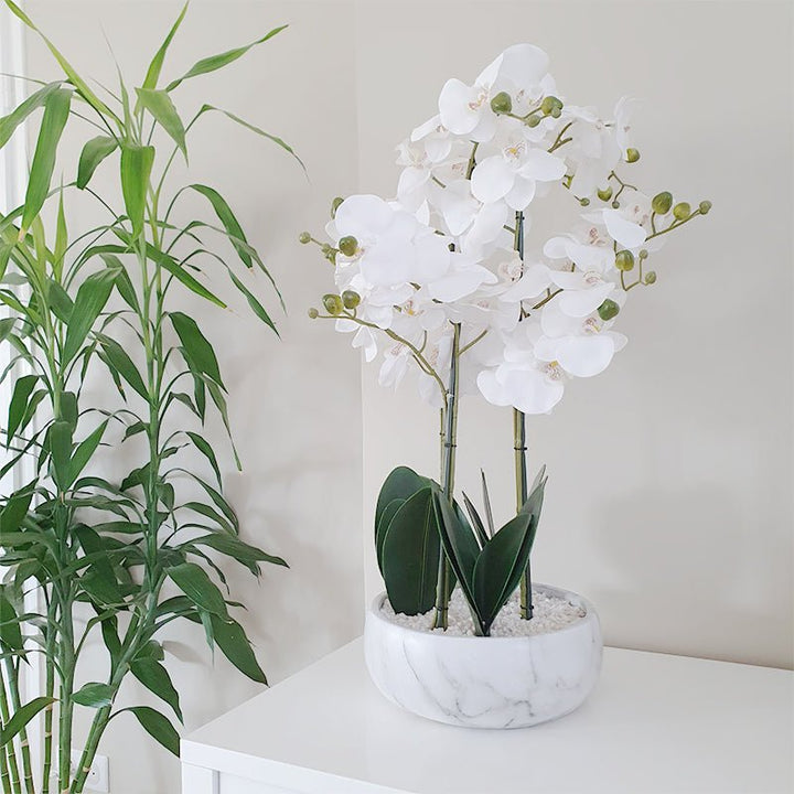 Orchidée Artificielle 65cm avec Pot en Céramique - Effet Marbre - Silumen