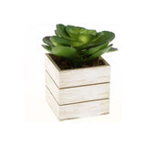 Kunstmatige plant in houten pot h.12 cm