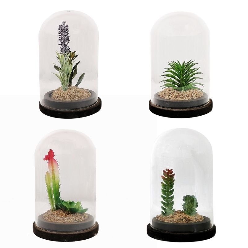 Plante artificielle sous cloche en verre 13x19cm - Silumen