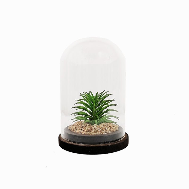 Plante artificielle sous cloche en verre 13x19cm - Silumen