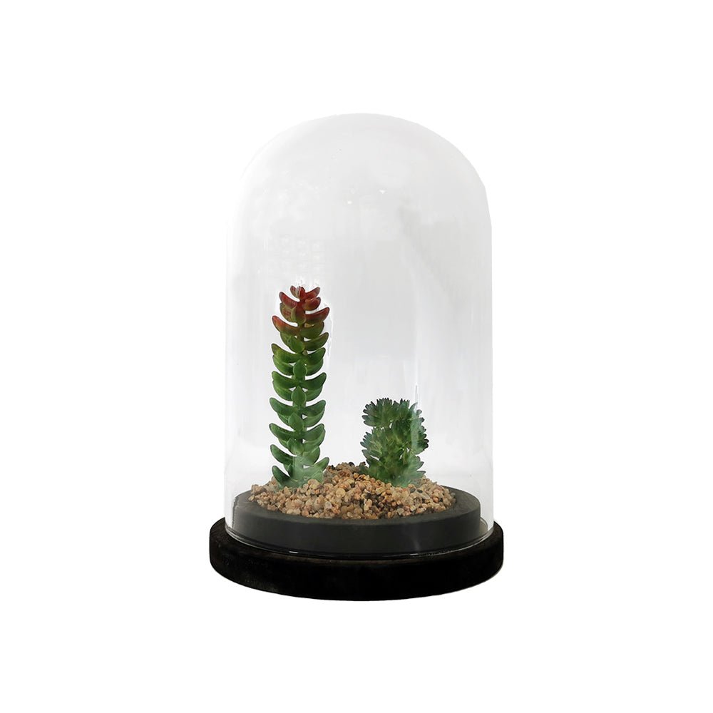 Plante artificielle sous cloche en verre 13x19cm - Silumen