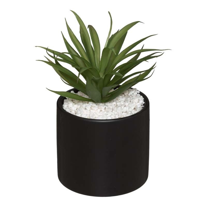 Plante Grasse Artificielle 18cm avec pot marbre - Silumen