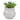 Plante Grasse Artificielle 8cm avec pot hibou - Silumen
