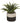 Plante verte artificielle Aloe Vera 28cm avec pot bicolore - Silumen