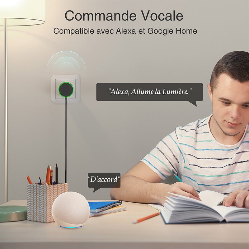 Prise Connectée Wifi 10A Blanche (Lot de 2) - Silumen