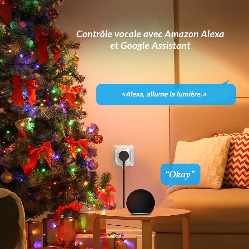 Prise Connectée Wifi 16A + 2 Ports USB 2.1A (Lot de 2) - Silumen