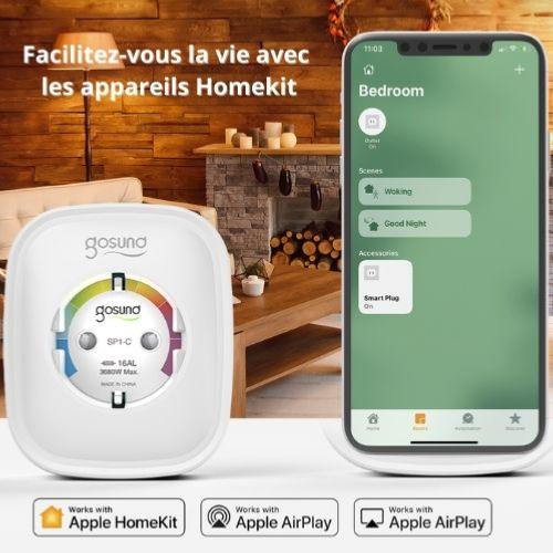 Prise Connectée Wifi Homekit Apple 16A - Silumen