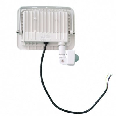 Projecteur LED 30W avec Détecteur de Mouvement Crépusculaire Extra Plat IP65 - Silumen