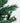 Sapin Artificiel Luxe Vert 180cm avec 800 têtes - Silumen
