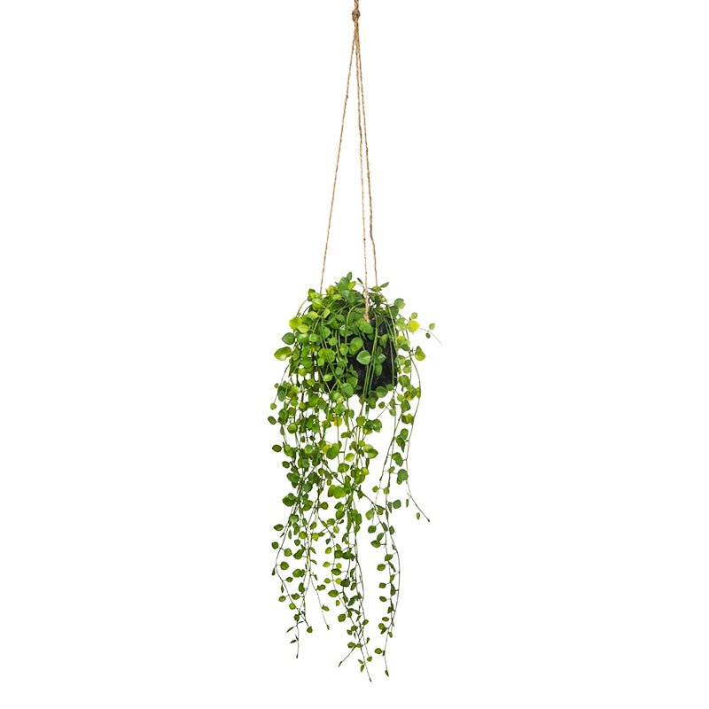 Suspension plante verte retombante 10 cm - Silumen
